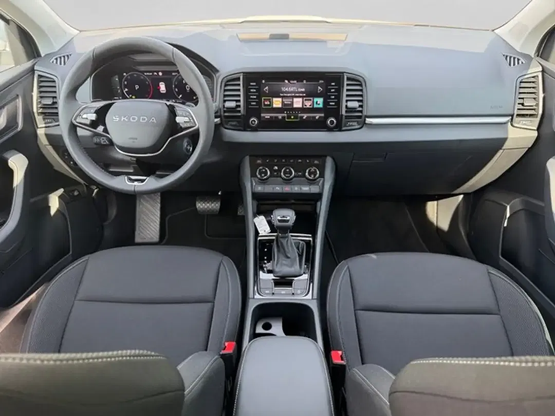 Skoda Karoq - Thumbnail 12