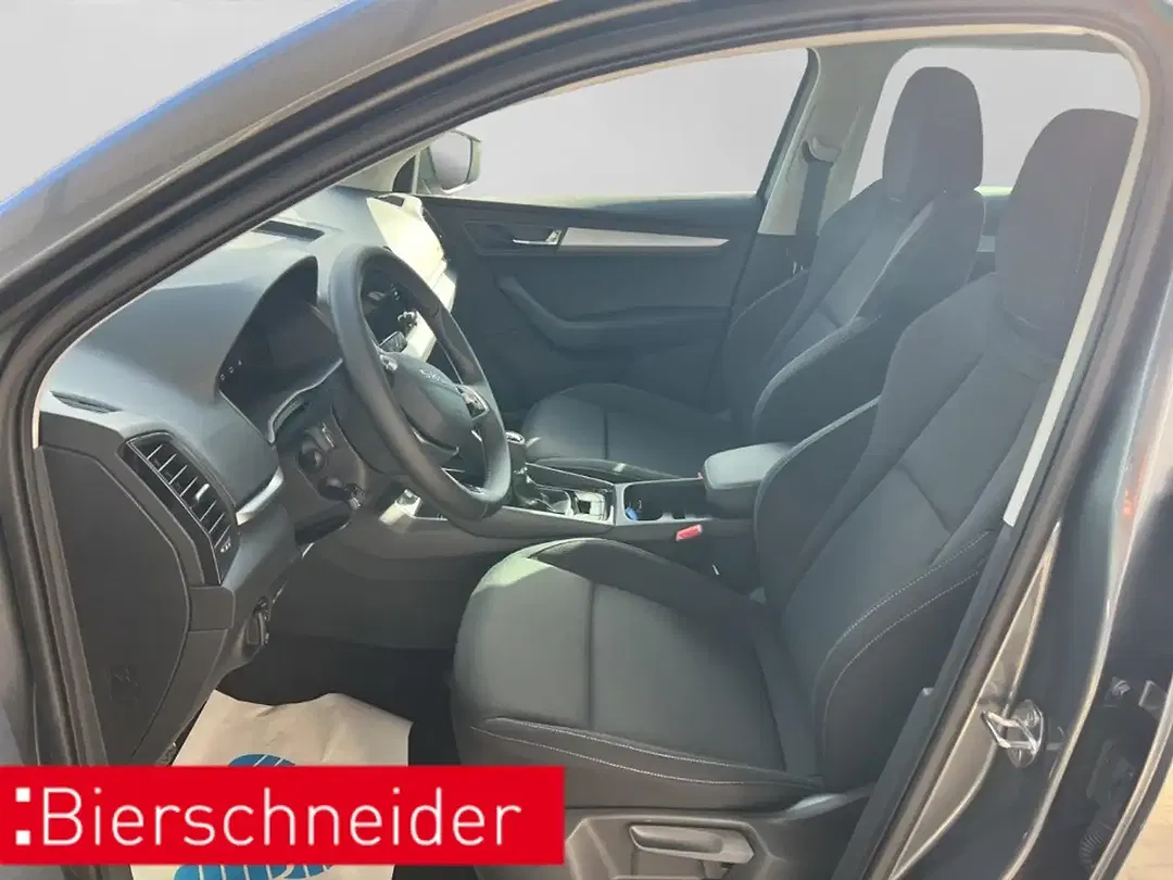 Skoda Karoq - Thumbnail 10