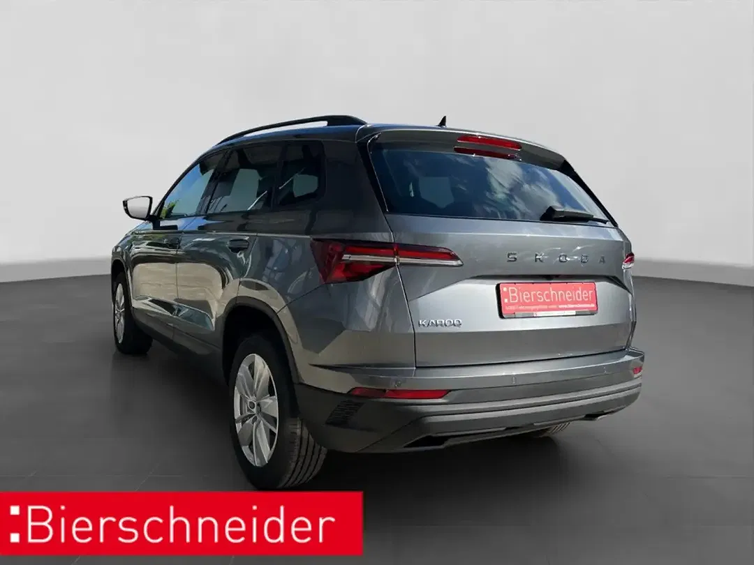 Skoda Karoq - Thumbnail 3