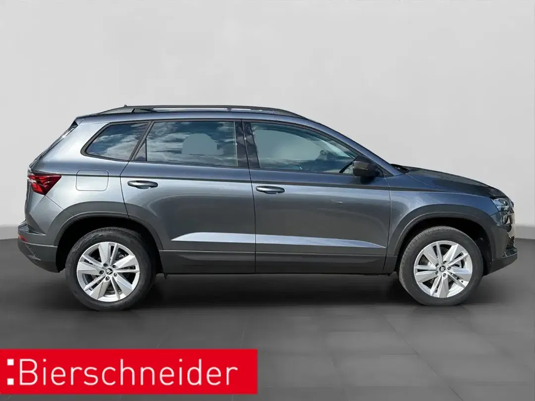 Skoda Karoq - Thumbnail 6