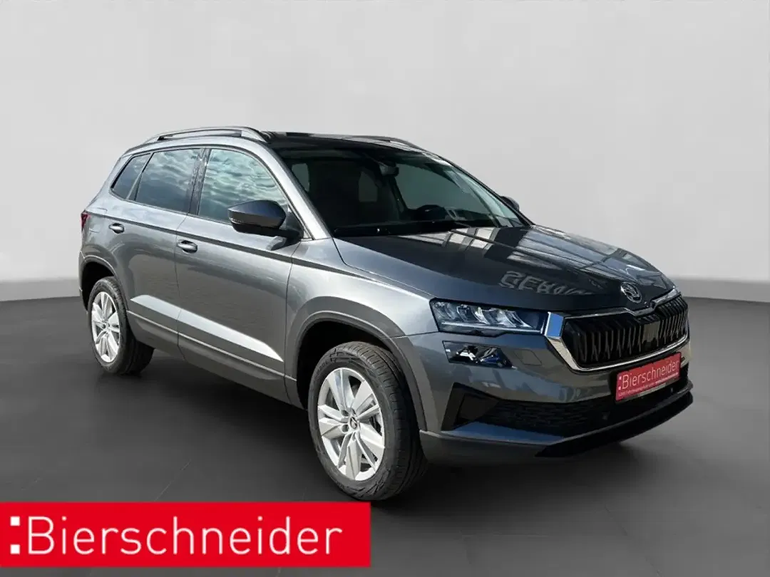 Skoda Karoq - Thumbnail 8