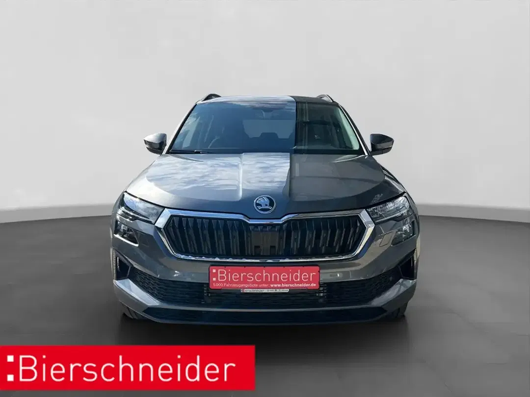 Skoda Karoq - Thumbnail 9