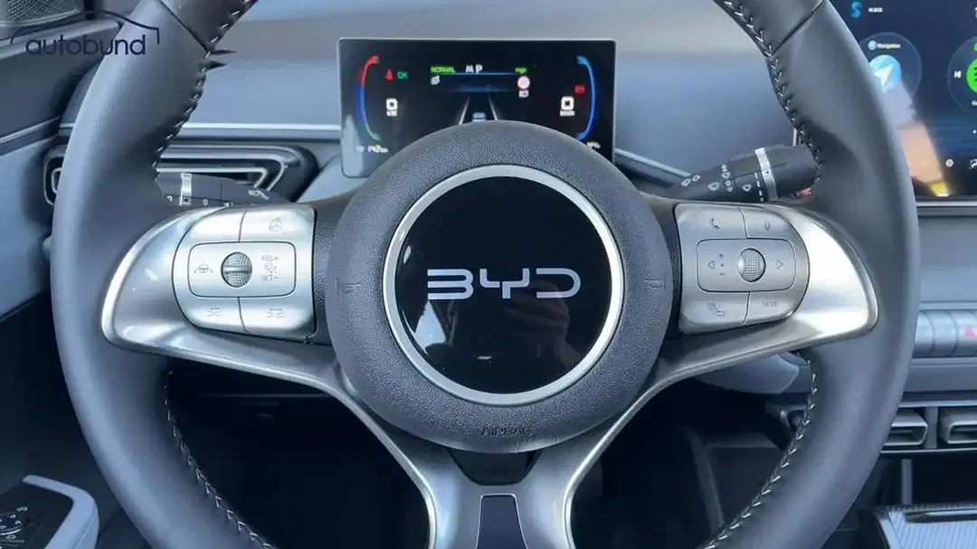 BYD Dolphin Surf - Thumbnail 10