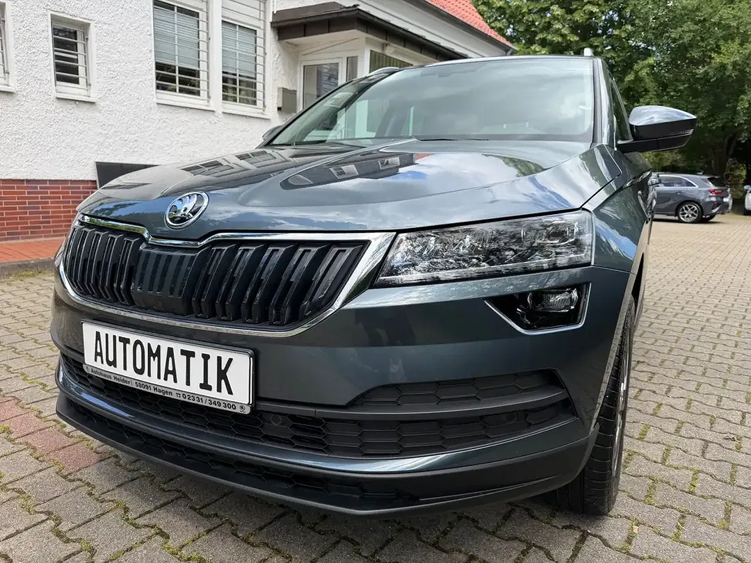 Skoda Karoq - Thumbnail 1
