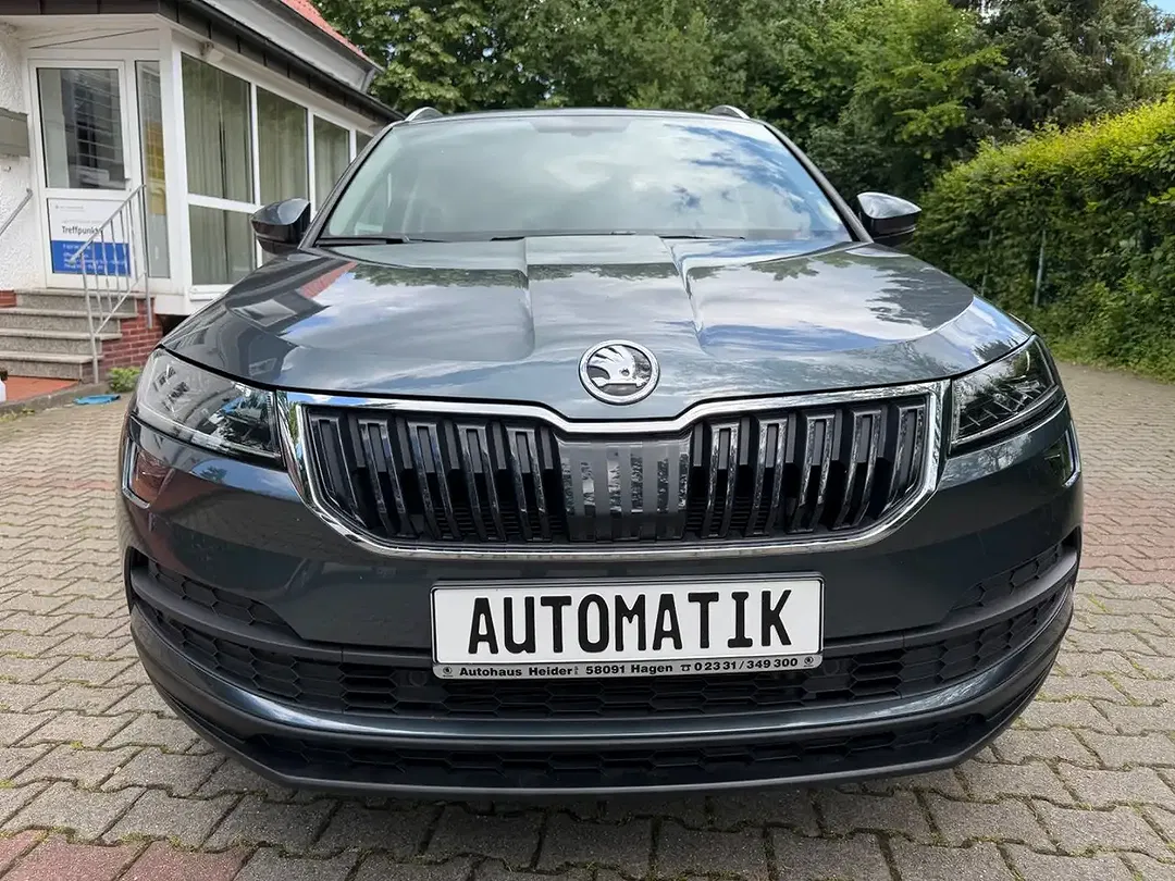 Skoda Karoq - Thumbnail 3