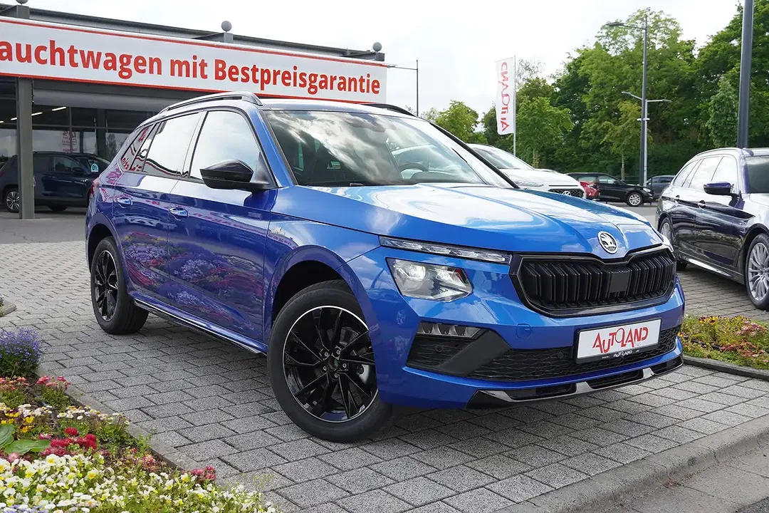 Skoda Kamiq - Thumbnail 3