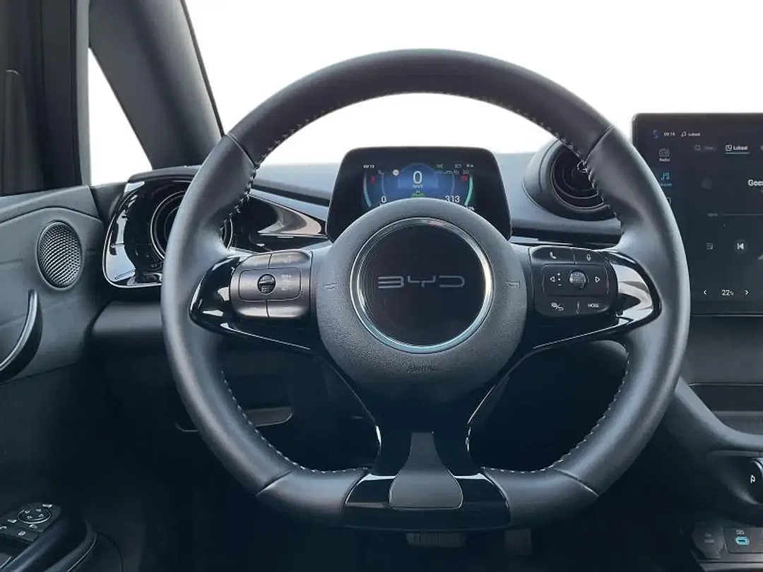 BYD Dolphin - Thumbnail 10