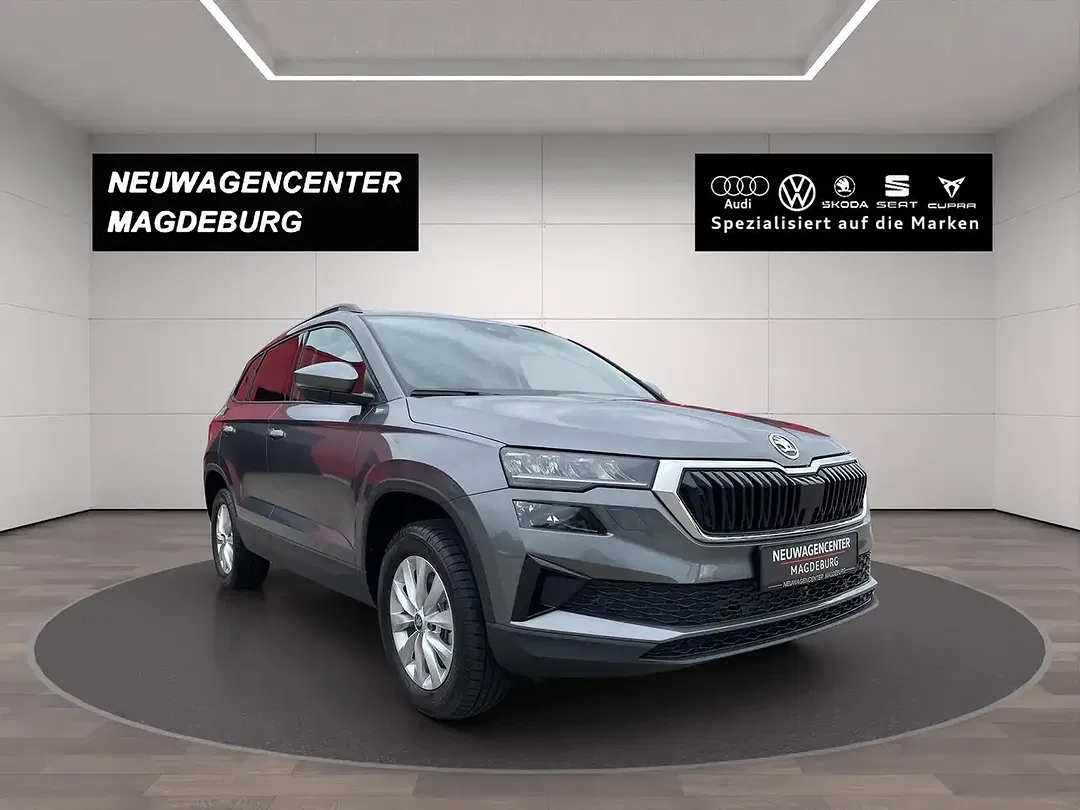 Skoda Karoq - Thumbnail 3
