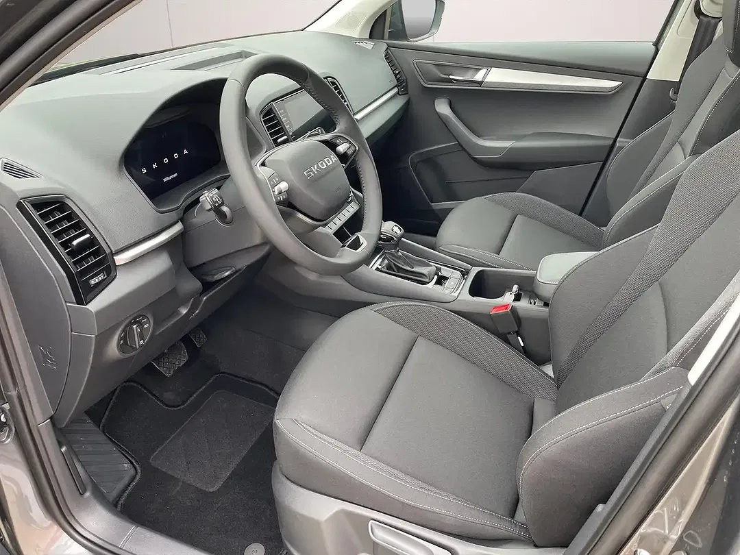 Skoda Karoq - Thumbnail 6