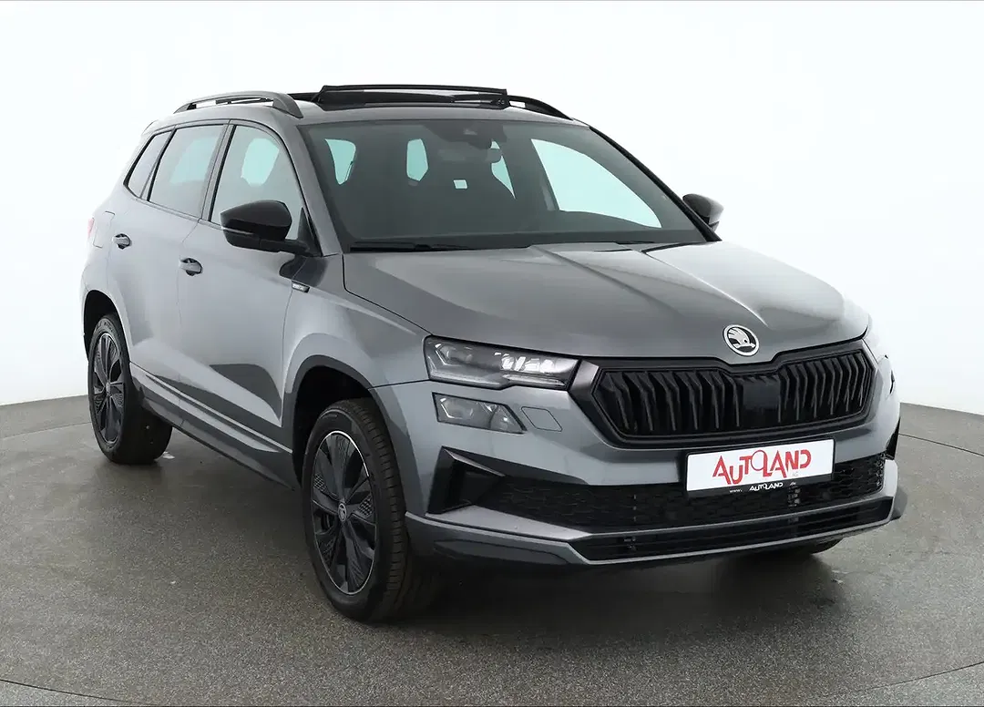 Skoda Karoq - Thumbnail 6