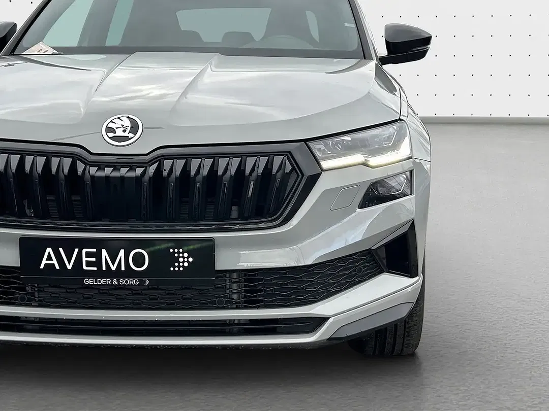 Skoda Karoq - Thumbnail 12