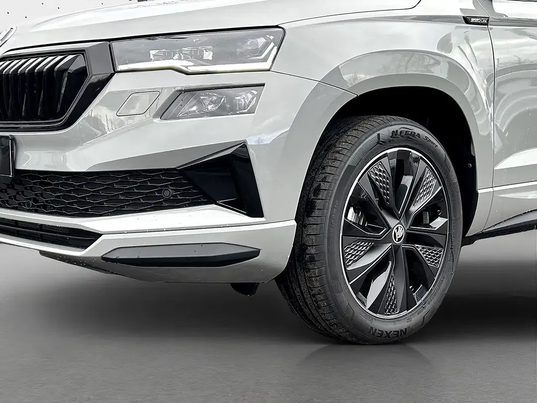 Skoda Karoq - Thumbnail 13