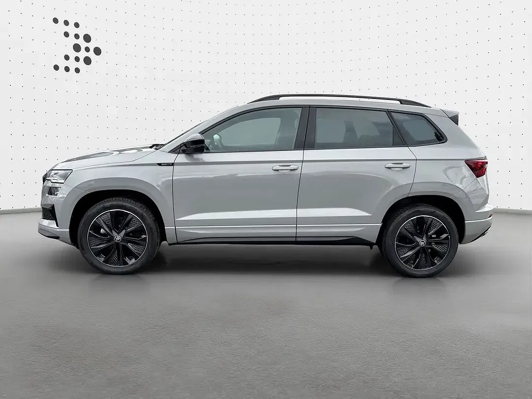 Skoda Karoq - Thumbnail 3