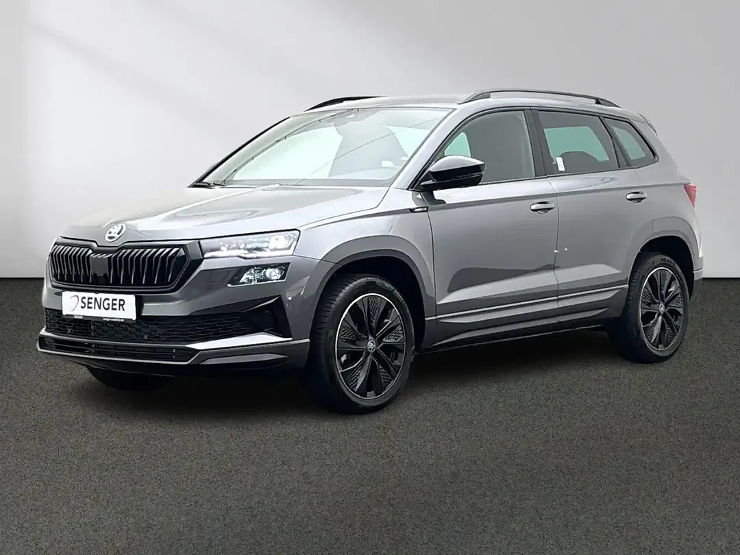 Skoda Karoq - Thumbnail 13
