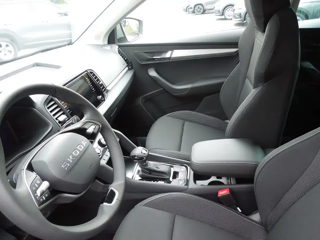 Skoda Karoq - Thumbnail 10
