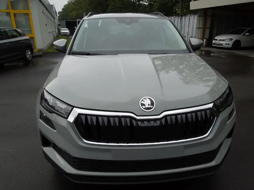 Skoda Karoq - Thumbnail 2
