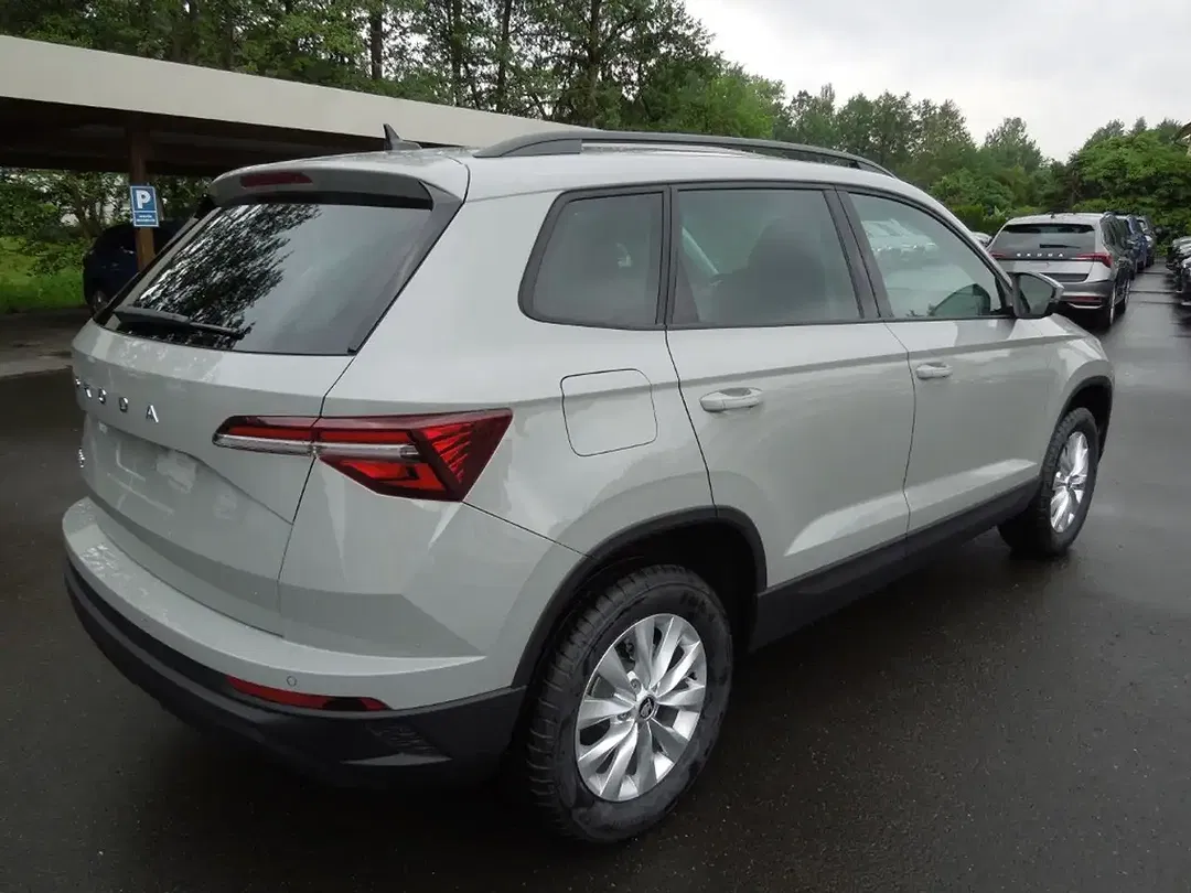 Skoda Karoq - Thumbnail 4