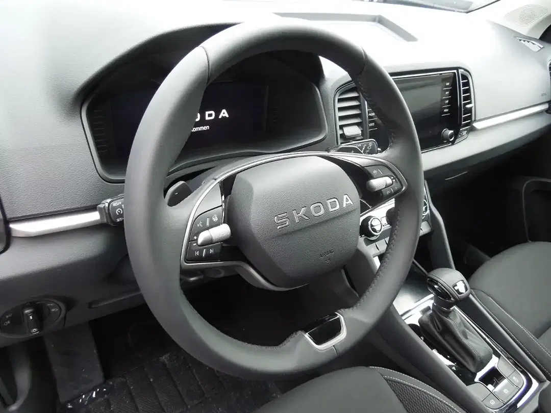 Skoda Karoq - Thumbnail 6