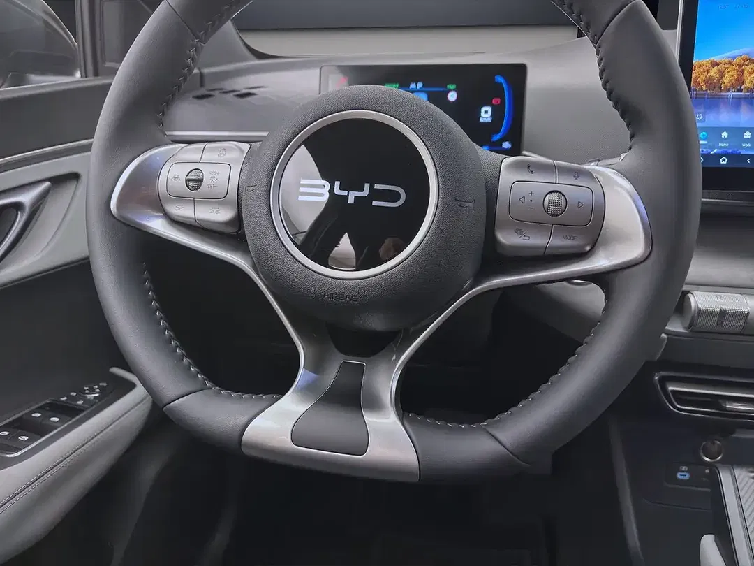 BYD Dolphin Surf - Thumbnail 13