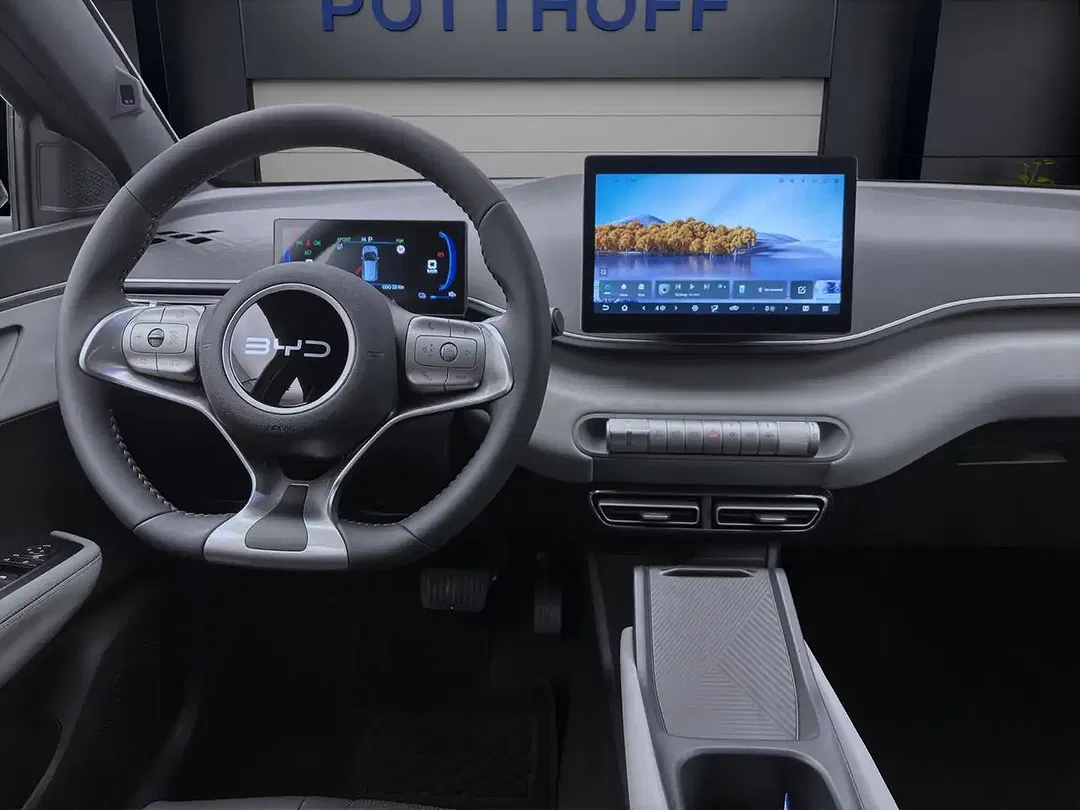 BYD Dolphin Surf - Thumbnail 14