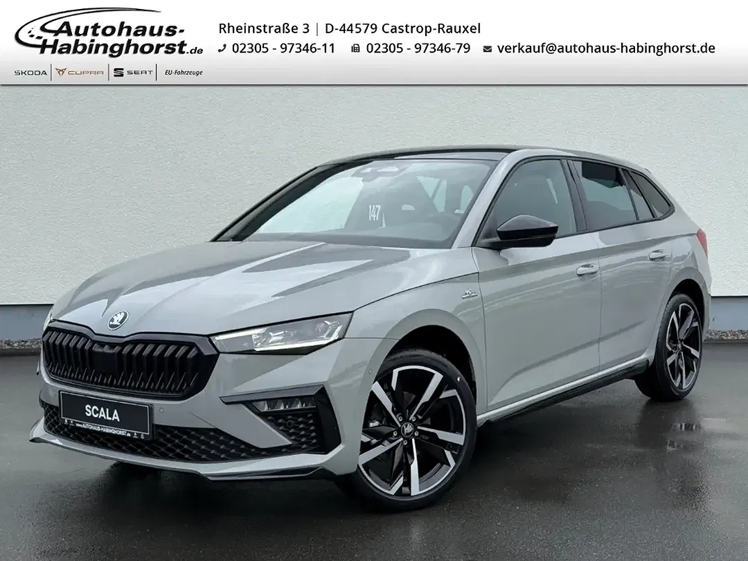 Skoda Scala - Thumbnail 1