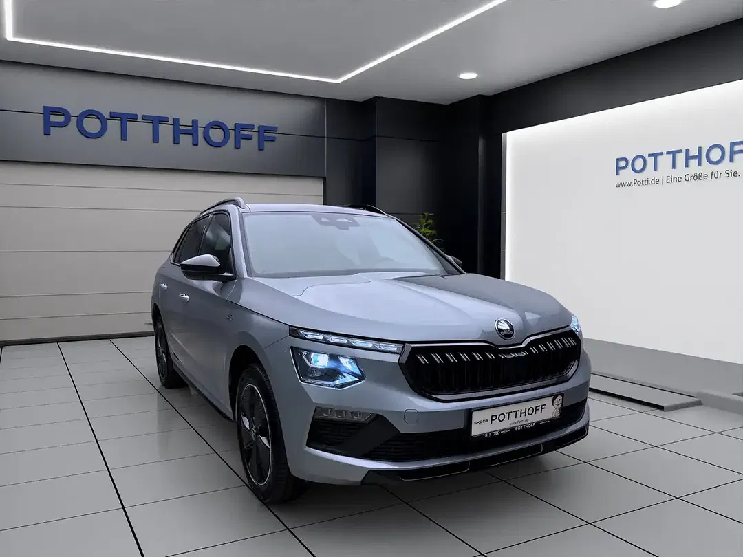 Skoda Kamiq - Thumbnail 7