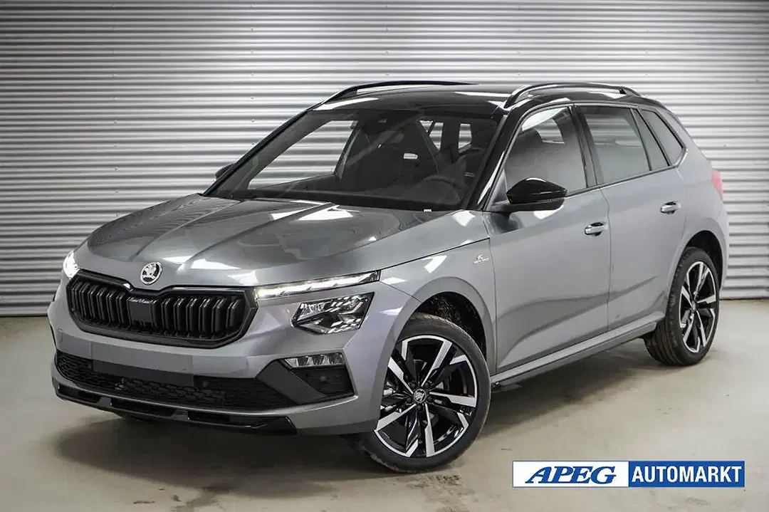 Skoda Kamiq - Thumbnail 1