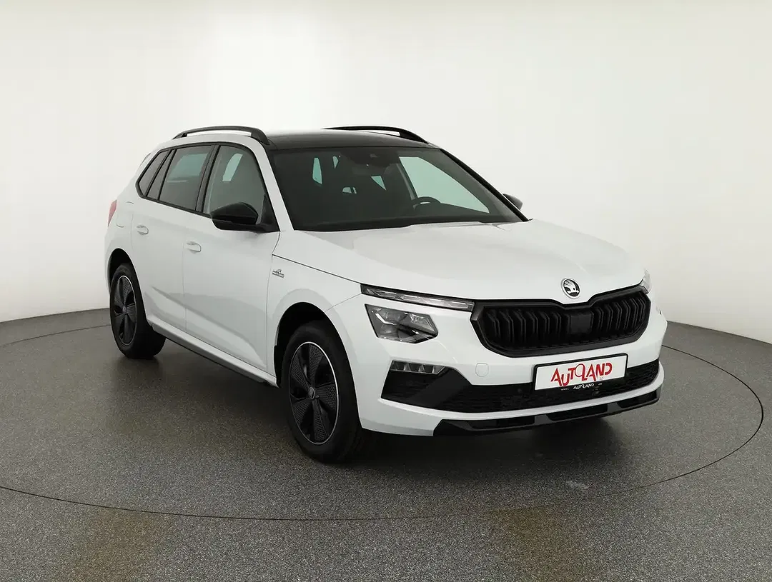 Skoda Kamiq - Thumbnail 6