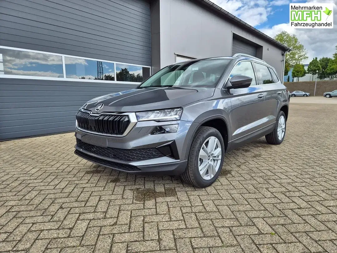 Skoda Karoq - Thumbnail 8