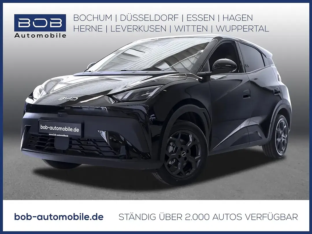 BYD Dolphin - Thumbnail 1