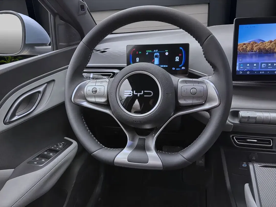 BYD Dolphin Surf - Thumbnail 12