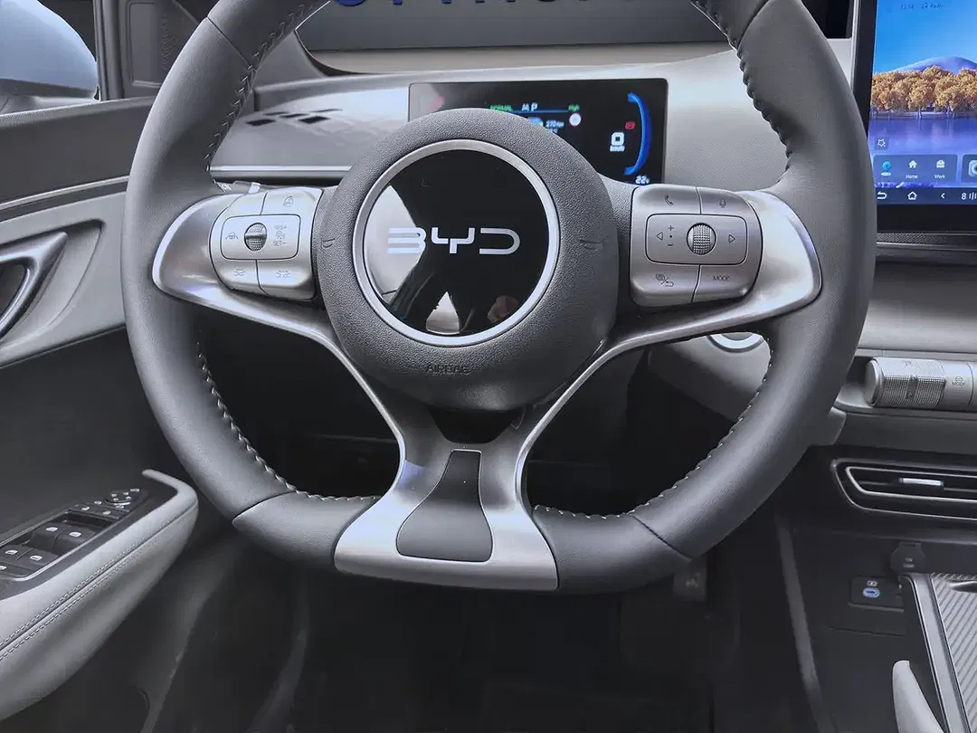 BYD Dolphin Surf - Thumbnail 13