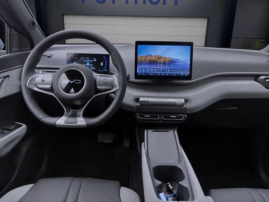BYD Dolphin Surf - Thumbnail 14