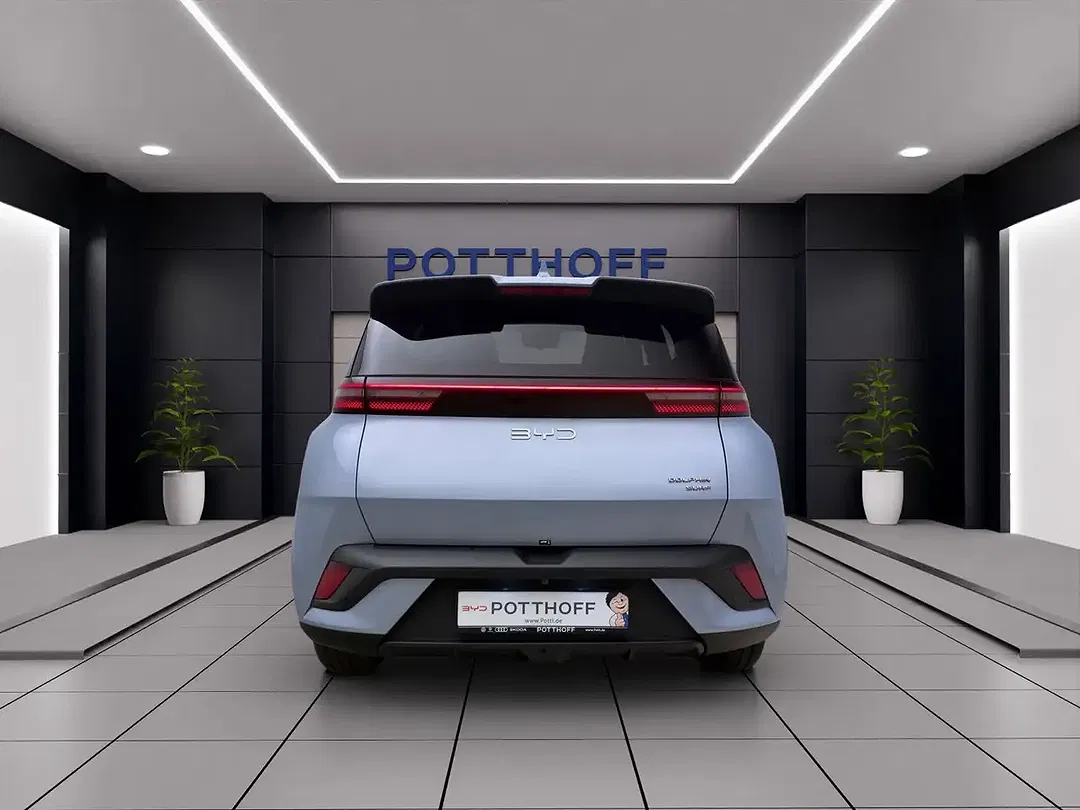BYD Dolphin Surf - Thumbnail 4