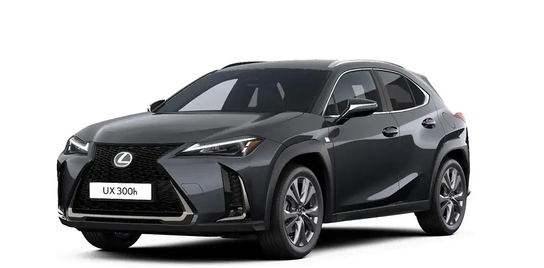 Lexus UX 300h - Thumbnail 1