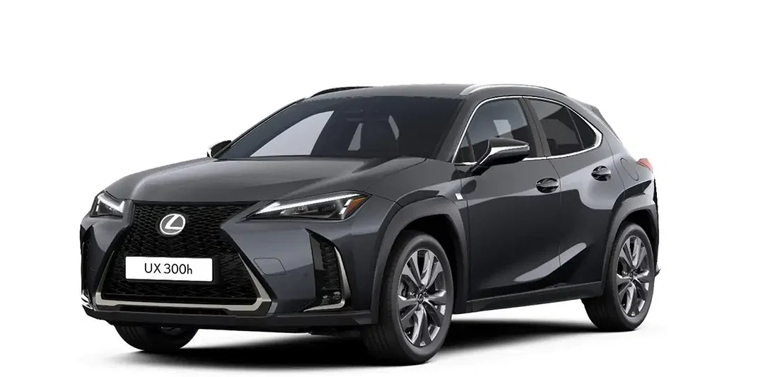 Lexus UX 300h - Afbeelding 1