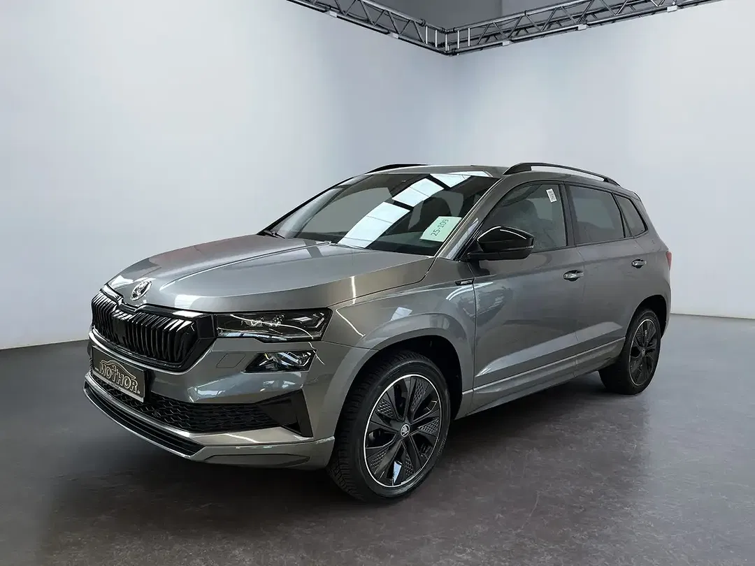 Skoda Karoq - Thumbnail 1