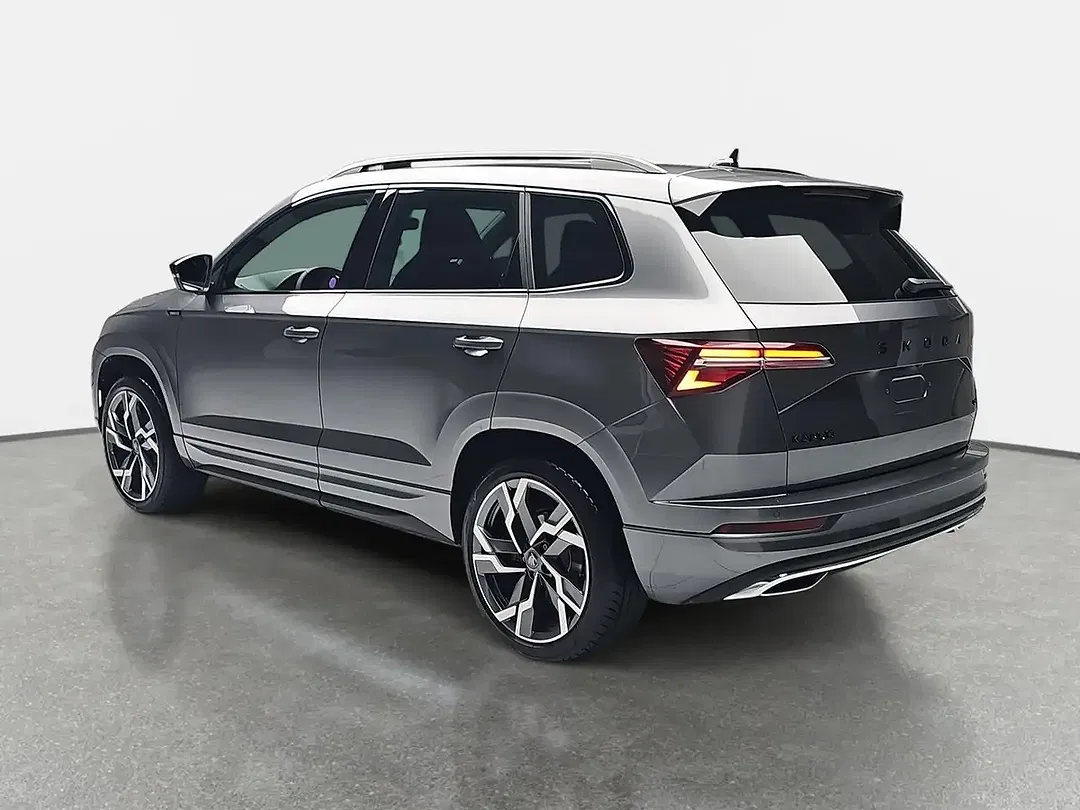 Skoda Karoq - Thumbnail 4
