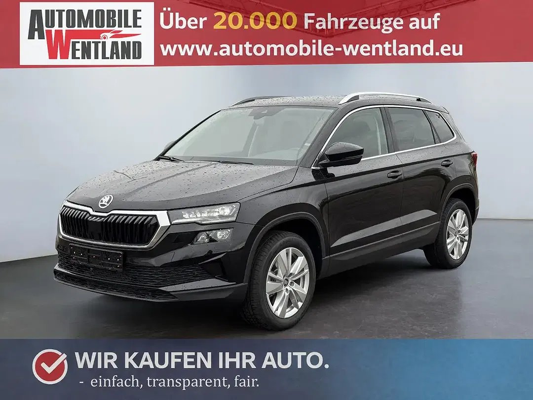 Skoda Karoq - Thumbnail 1