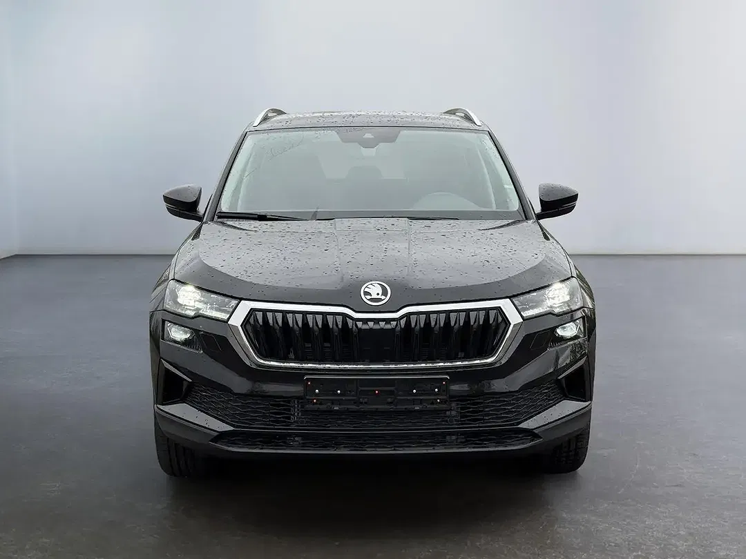 Skoda Karoq - Thumbnail 2