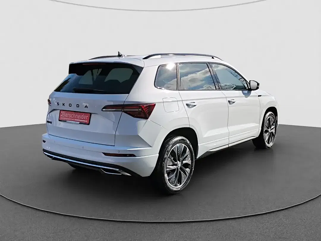Skoda Karoq - Thumbnail 10