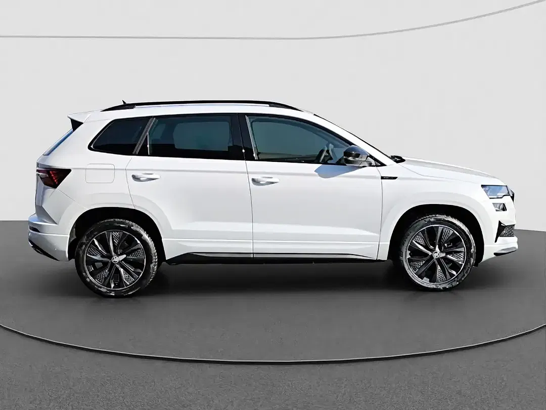 Skoda Karoq - Thumbnail 11