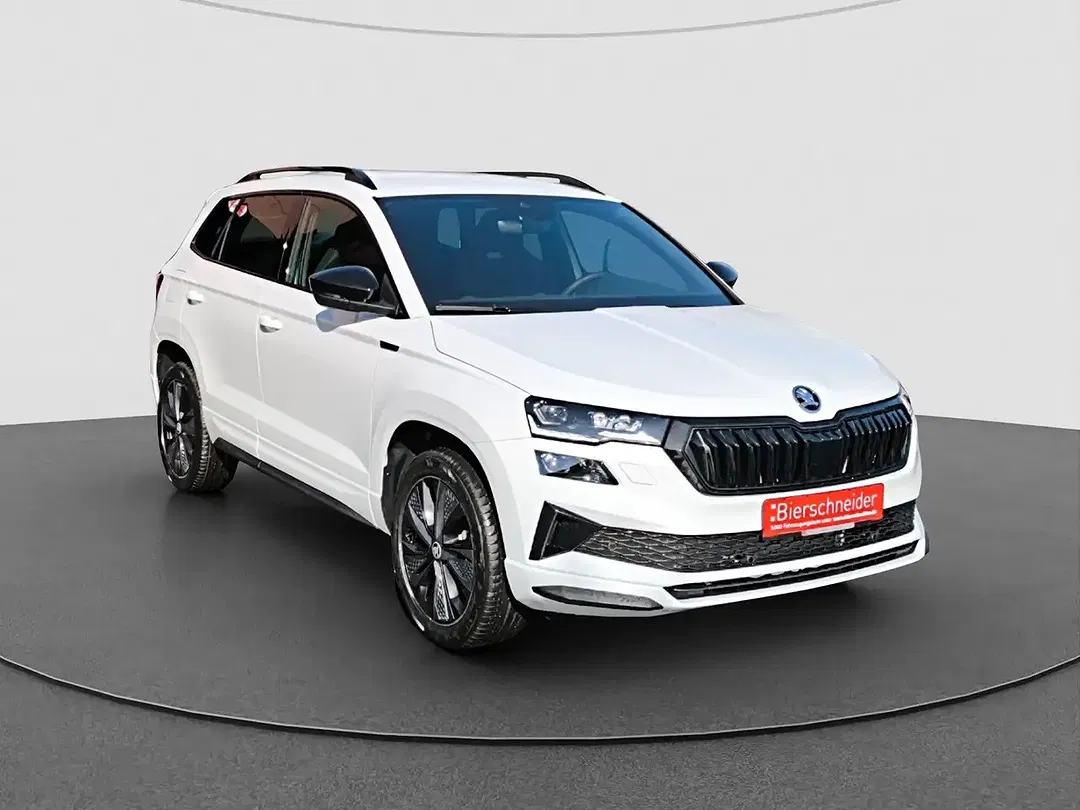 Skoda Karoq - Thumbnail 6
