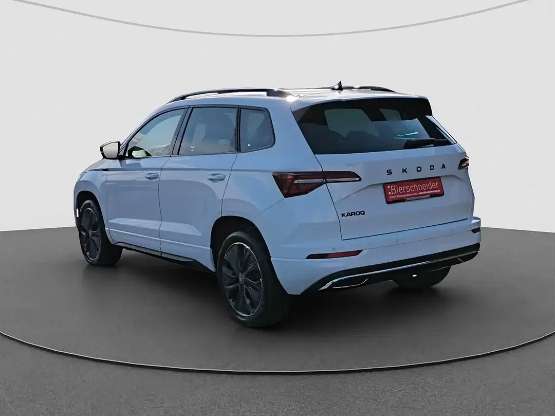 Skoda Karoq - Thumbnail 8