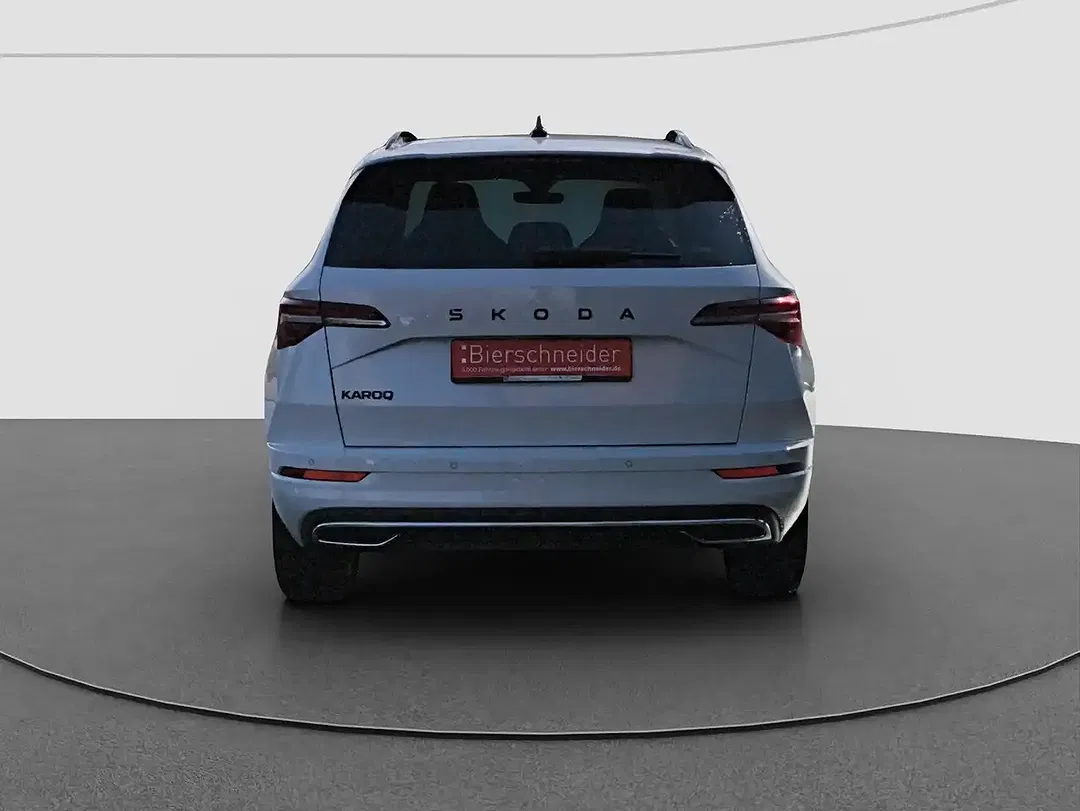 Skoda Karoq - Thumbnail 9