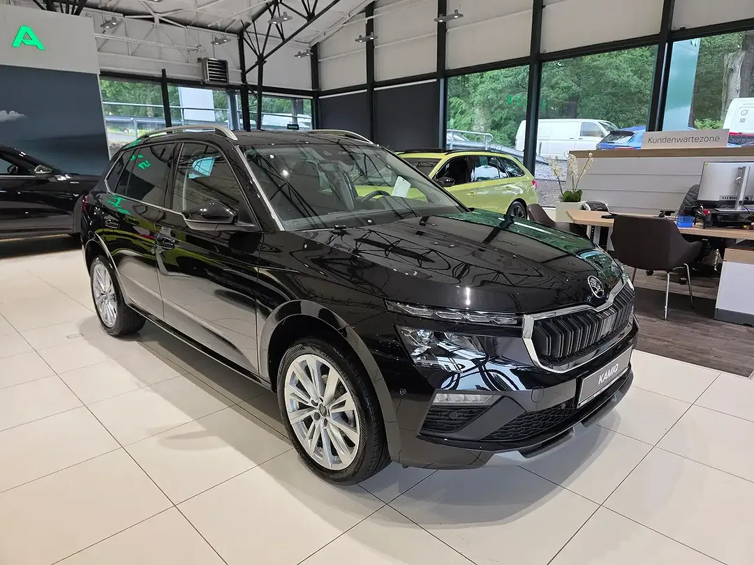 Skoda Kamiq - Thumbnail 3