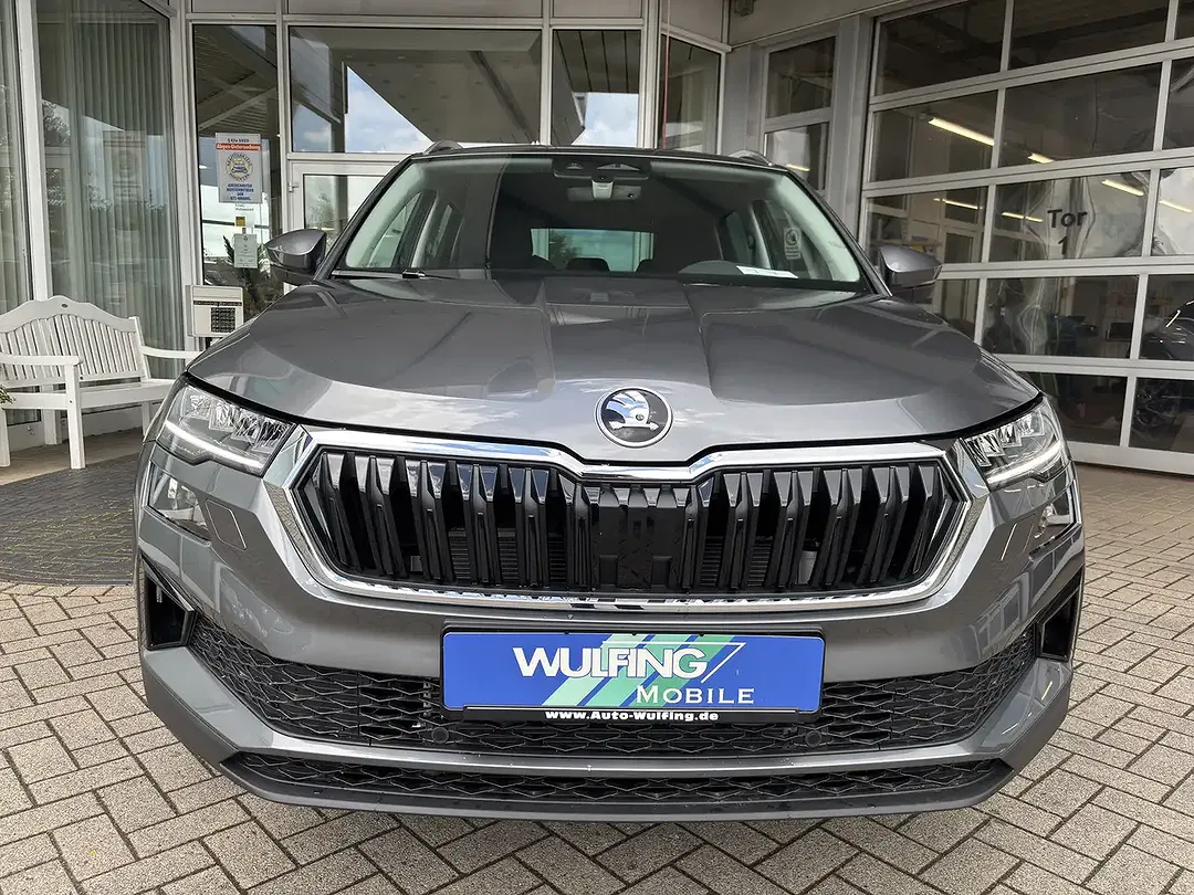Skoda Karoq - Thumbnail 2