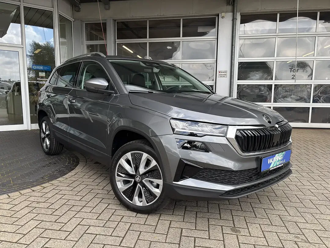 Skoda Karoq - Thumbnail 3