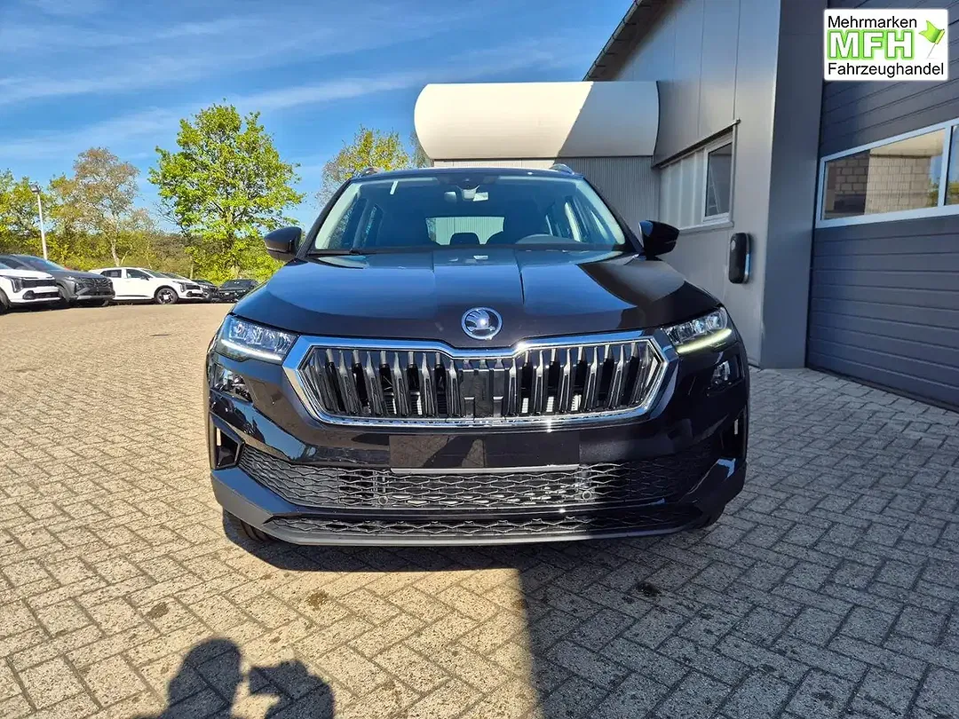 Skoda Karoq - Thumbnail 8