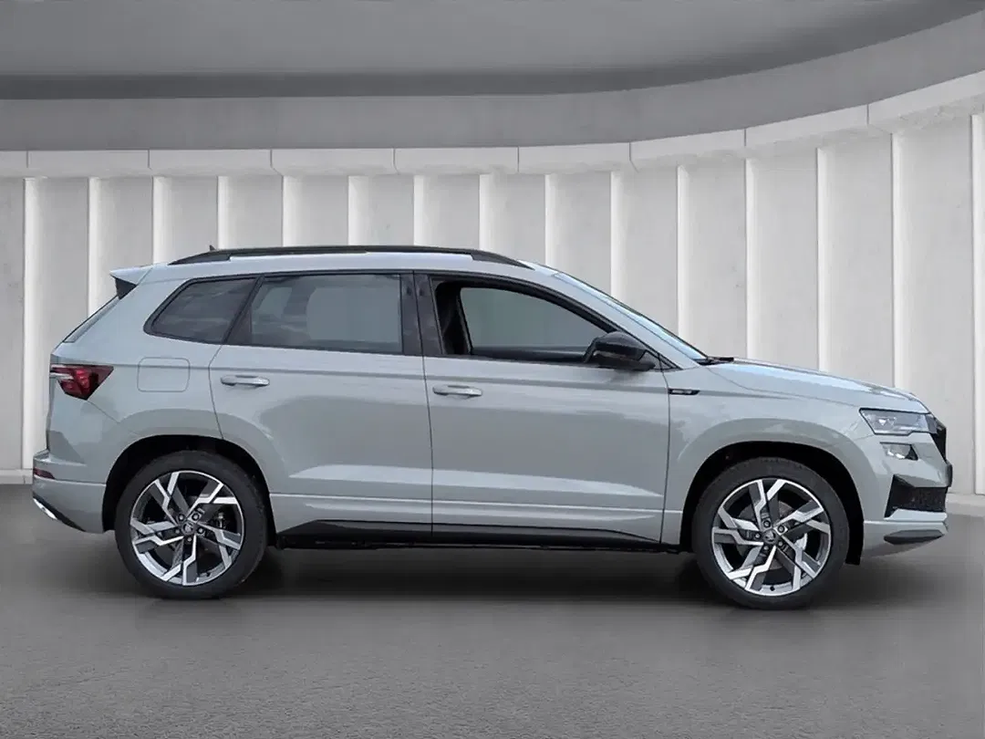 Skoda Karoq - Thumbnail 2